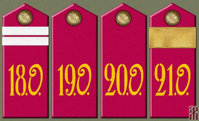 Shoulder-boards of the 5th Orenburg Rifle Division 1919
