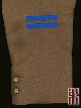 Wound markings Orenburg host RCW