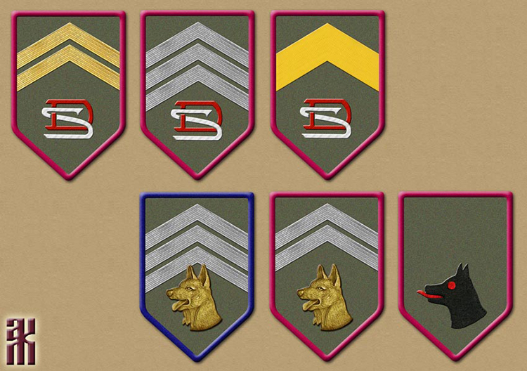 insignia of the Czech Legion schools in the Russian Civil War