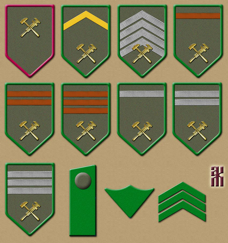 Insignia of the Independent Engine Company onf the Czech Legion in the Russian Civil War