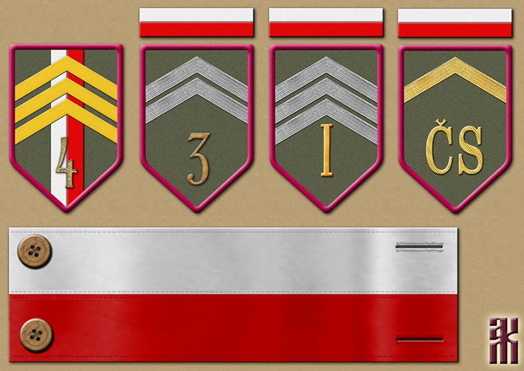 Insignia of the Czecho-Slovak Legion Military Police and Courts