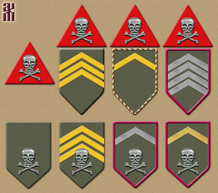 insignia of the Czechoslovak Shock Battalion from December 1917 to October 1918