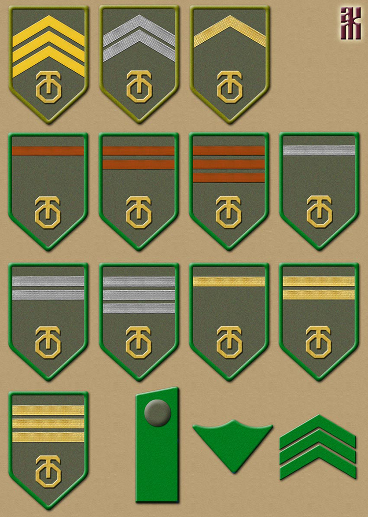 Insignia of the Technical Department of the Czechoslovak Corps in Russia