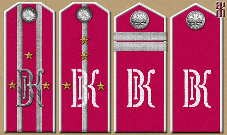 Shoulder-boards of the 1st Volga General Kappel Rifle Regiment 1920