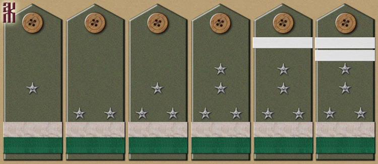 Shoulder-boards of men who joined Gaida's mutiny