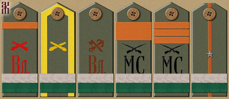 Shoulder-boards of men who joined Gaida's mutiny