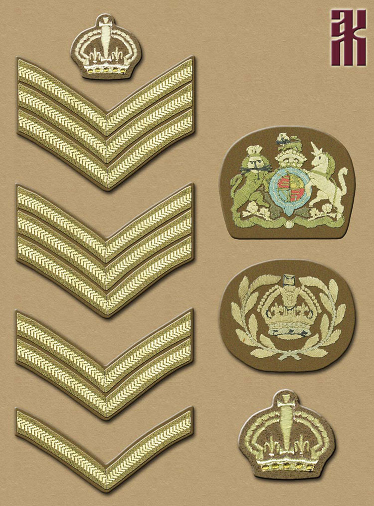 Uniforms of the British Expeditionary Forces in Siberia 1918-1919