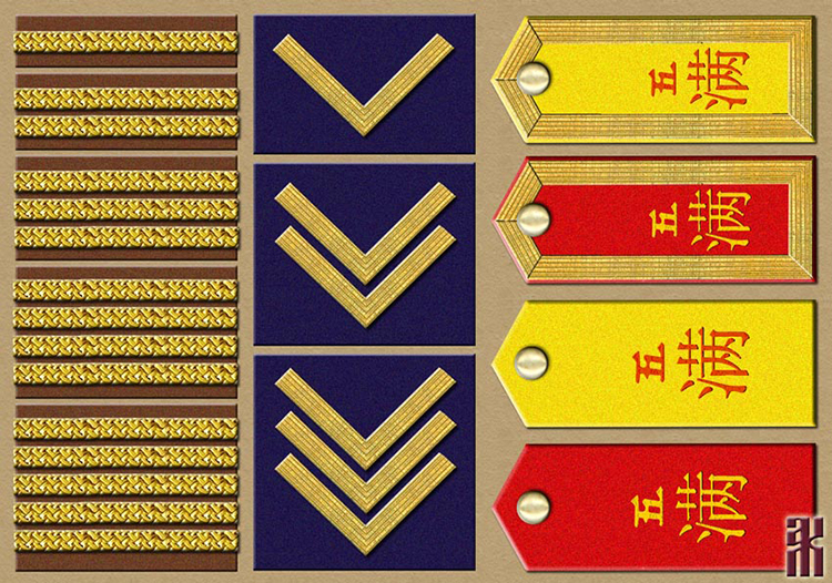 Uniforms of the Chinese Expeditionary Forces in the Russian Civil War