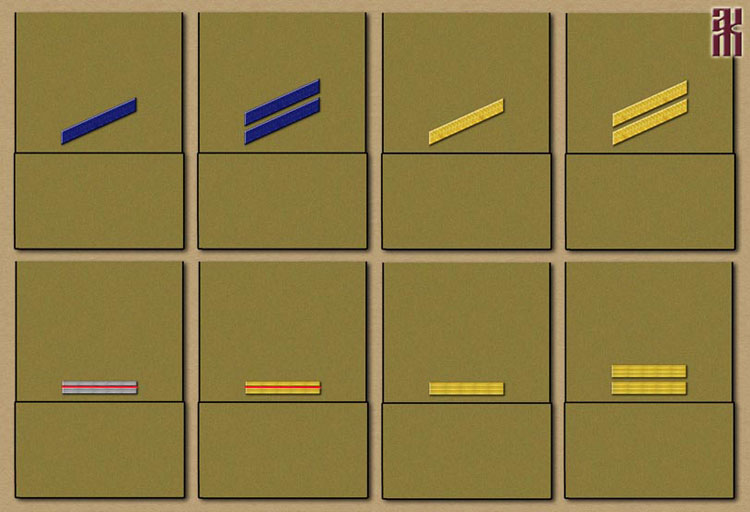 Uniforms of the French Expeditionary Forces in Siberia 1918-1920