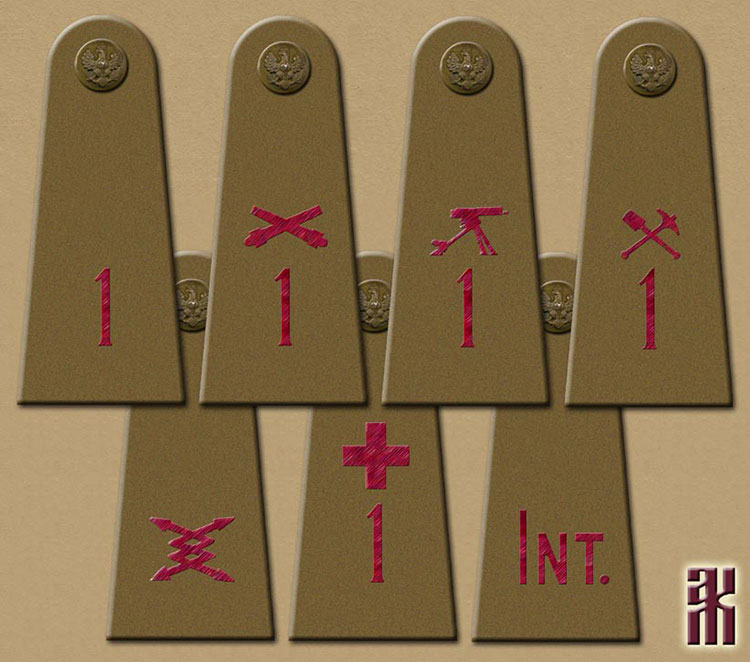 Uniforms of the 5th Polish Siberian Rifle Division, 1918-1920