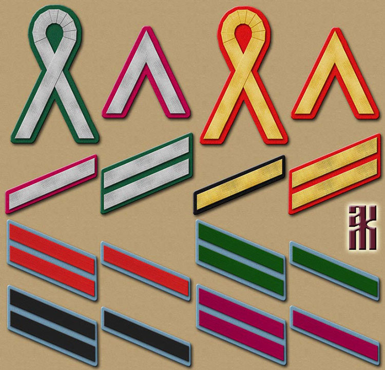 Uniforms of the 5th Polish Siberian Rifle Division, 1918-1920