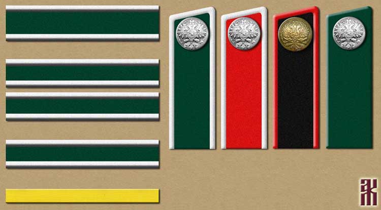 Sleeve braid and greatcoat tabs of the 14th Siberian Rifle Division in the Russian Civil War