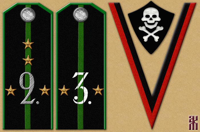 Shoulder-boards of the 1st Independent Siberian Shock Division / Brigade Russian Civil War