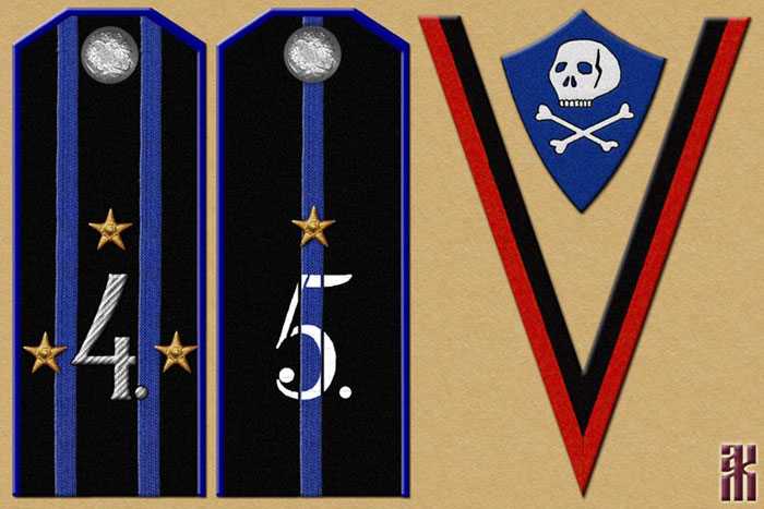 Insignia of 2nd Independent Siberian Shock Division / Brigade Russian Civil War