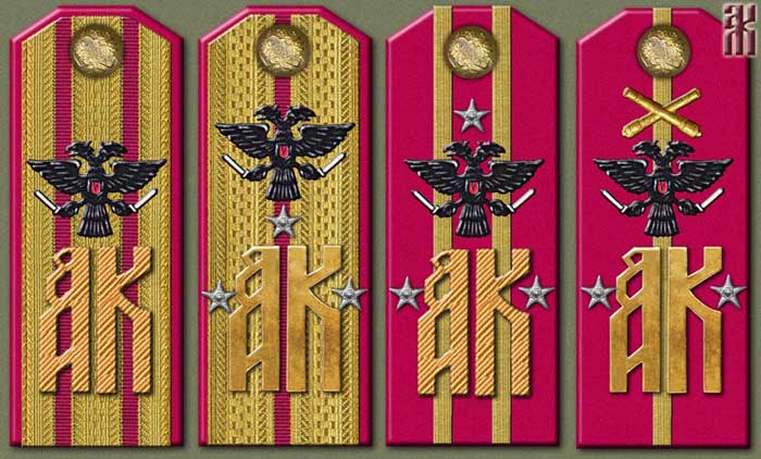 shoulder-boards of the 8th Kama Admiral Kolchak Rifle Division