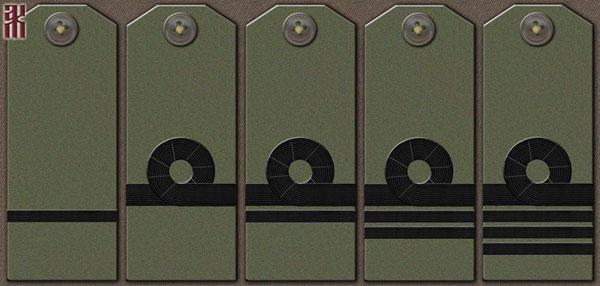 komuch officer insignia for Volga flotilla