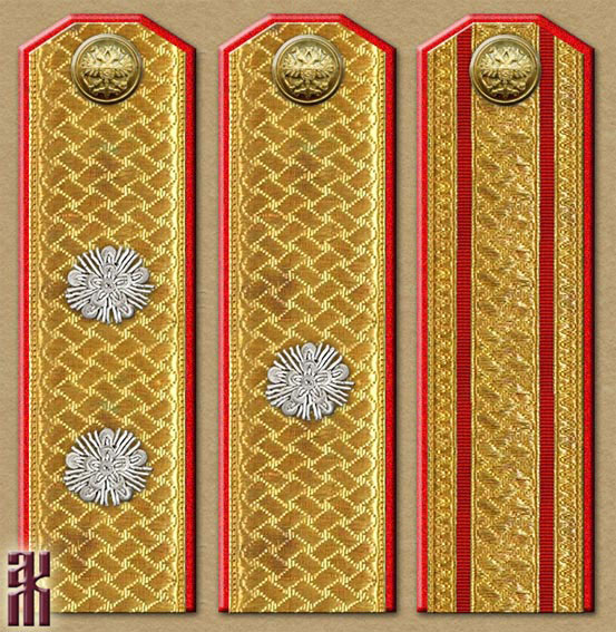 Shoulder-boards of provincial administration officials in the Russian Civil War
