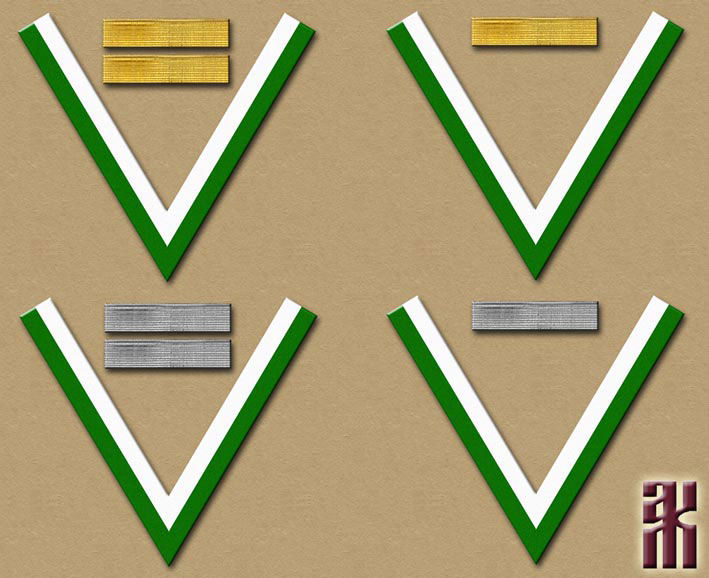 Insignia of the Irkutsk city police in the Russian Civil War