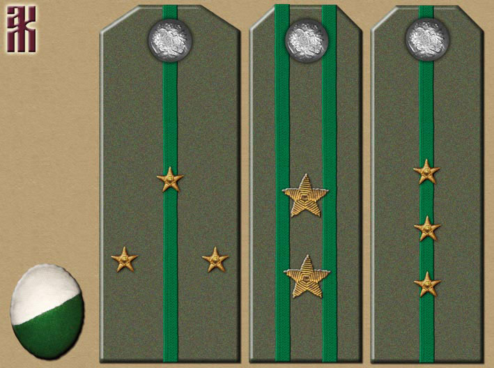 Shoulder-boards of Krasnoyarsk and Enisei police 1918-1919